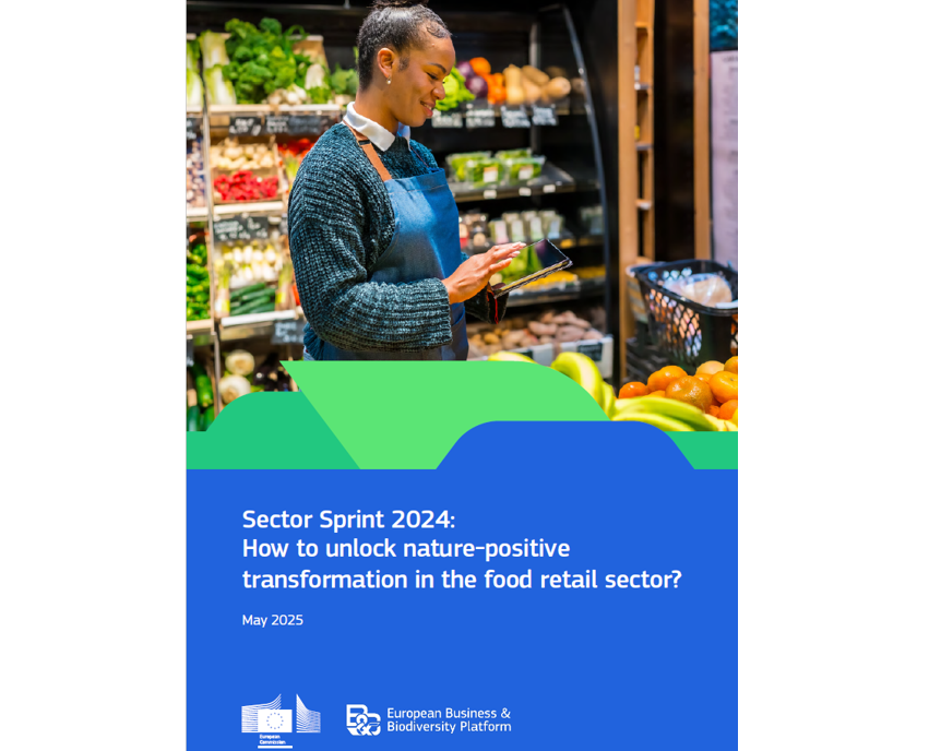 eubb sector sprint image cover