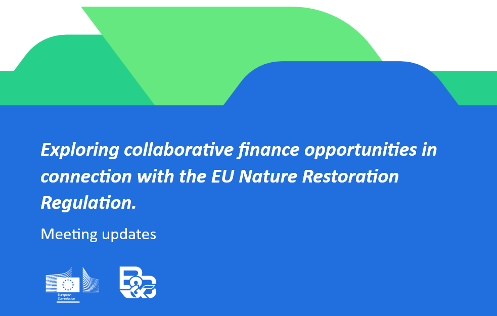 F&B meeting updates EUBB news