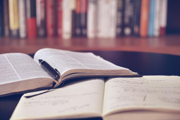 Two open books and a pen