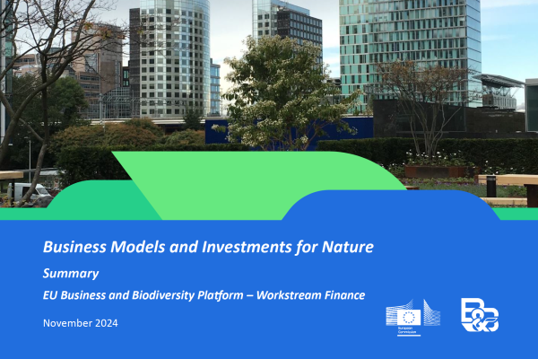 summary report eubb